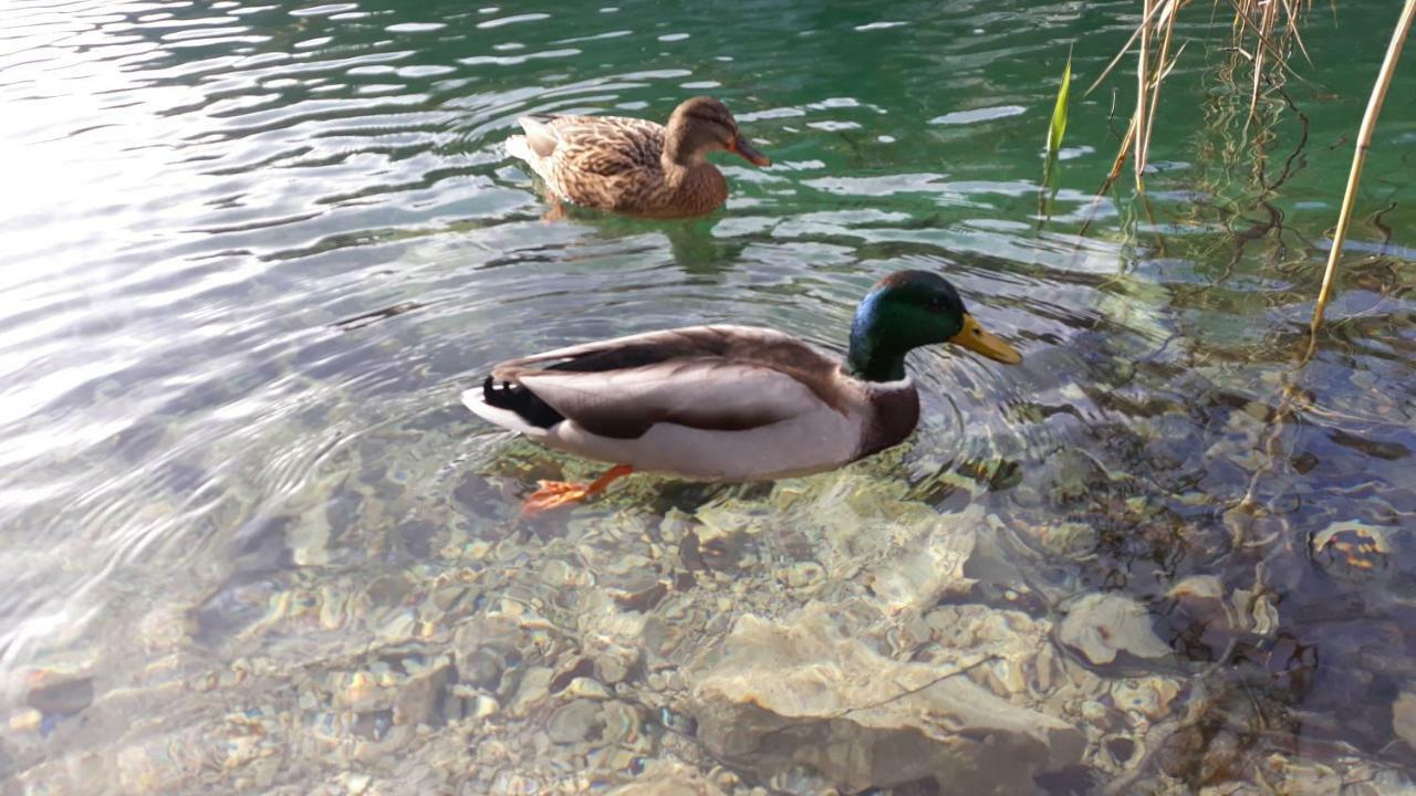 Vacation House Home, Plitvice Lakes National Park Plitvička Jezera Buitenkant foto